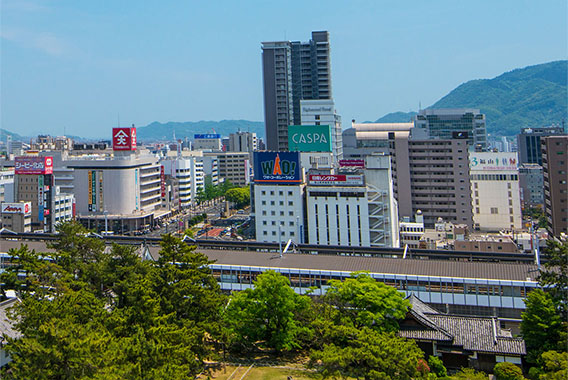 歴史・沿革